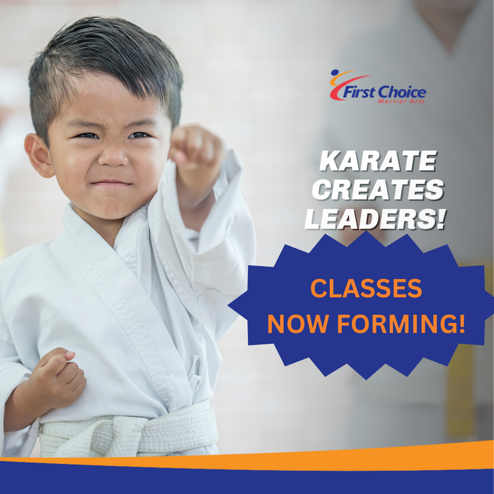 Karate Hamilton, Martial Arts Hamilton, Hamilton karate, hamilton martial arts, karate in hamilton, martial arts in hamilton, kids karate hamilton, kids martial arts hamilton, kids activities hamilton